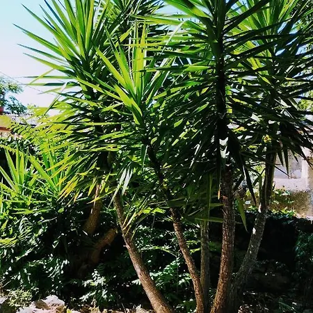 Apartment Labrajda